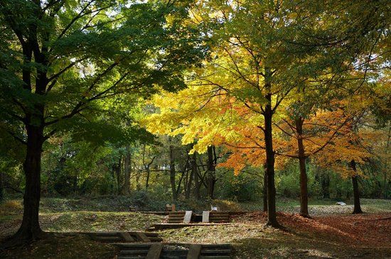 Upton Hill Regional Park